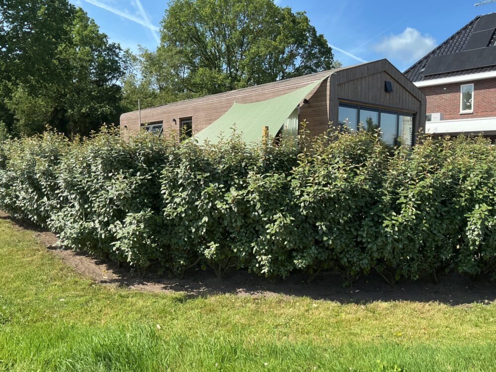 TinyHouse + eigen grond 50/428