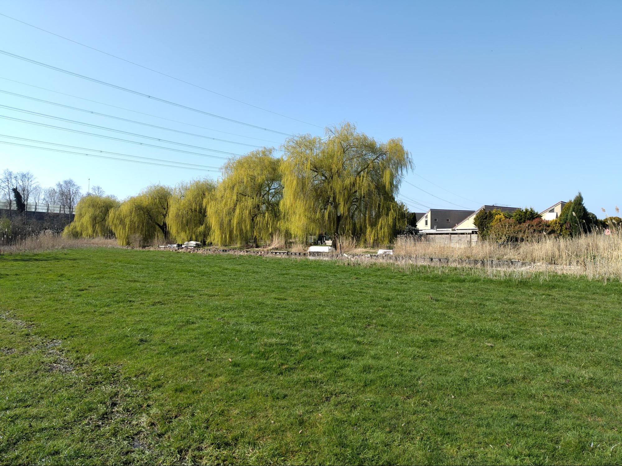 Tiny-house community Oostzaan - Afbeelding 4